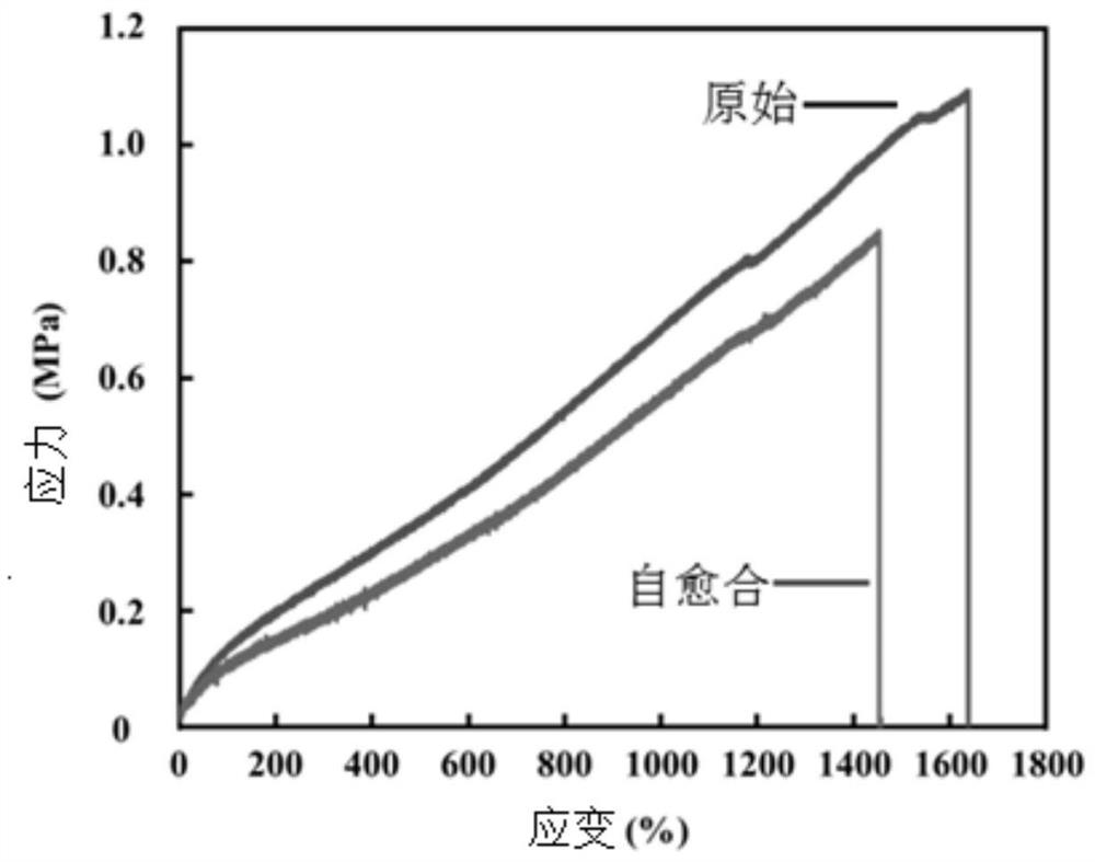 Preparation method and application of self-recognition damage type light detection self-healing hydrogel