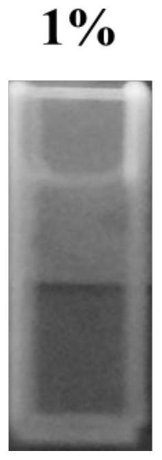 Preparation method and application of self-recognition damage type light detection self-healing hydrogel