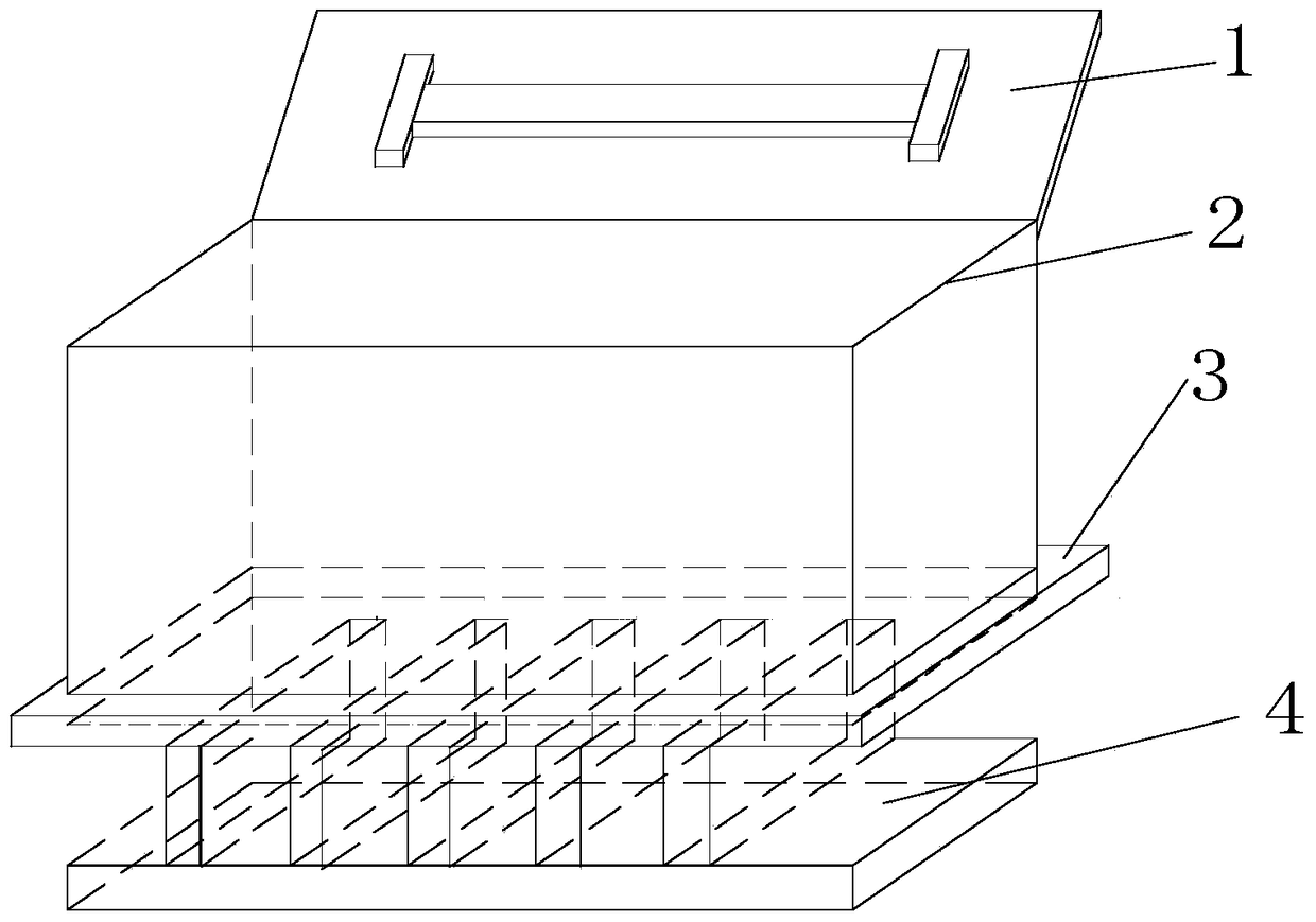 A Light Irradiation Device for Establishing Skin Damage Models in Experimental Animals