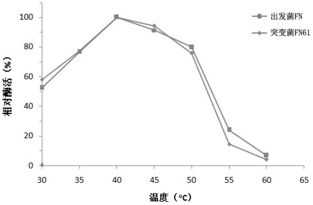 Bacillus amyloliquefaciens for high production of neutral protease