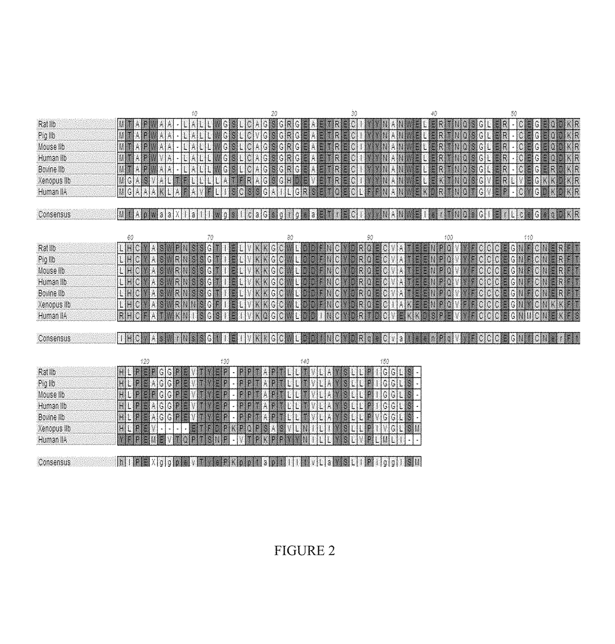 Methods for treating myelodysplastic syndromes and sideroblastic anemias