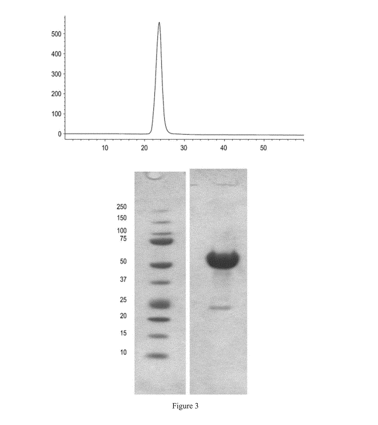 Methods for treating myelodysplastic syndromes and sideroblastic anemias