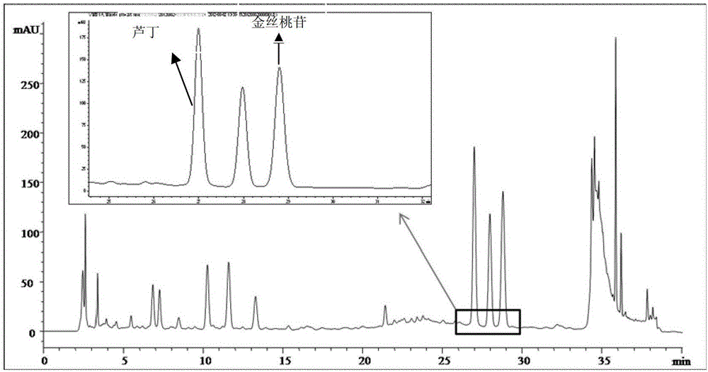 A kind of detection method of pharmaceutical composition