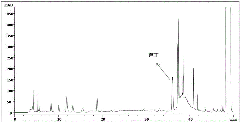 A kind of detection method of pharmaceutical composition