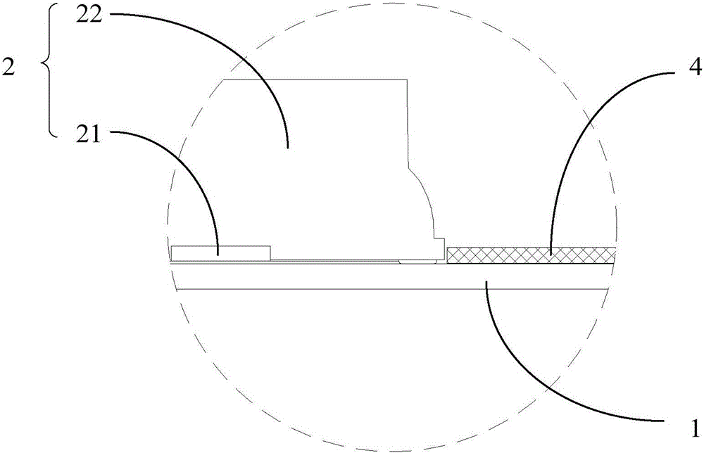 Backlight module and display device