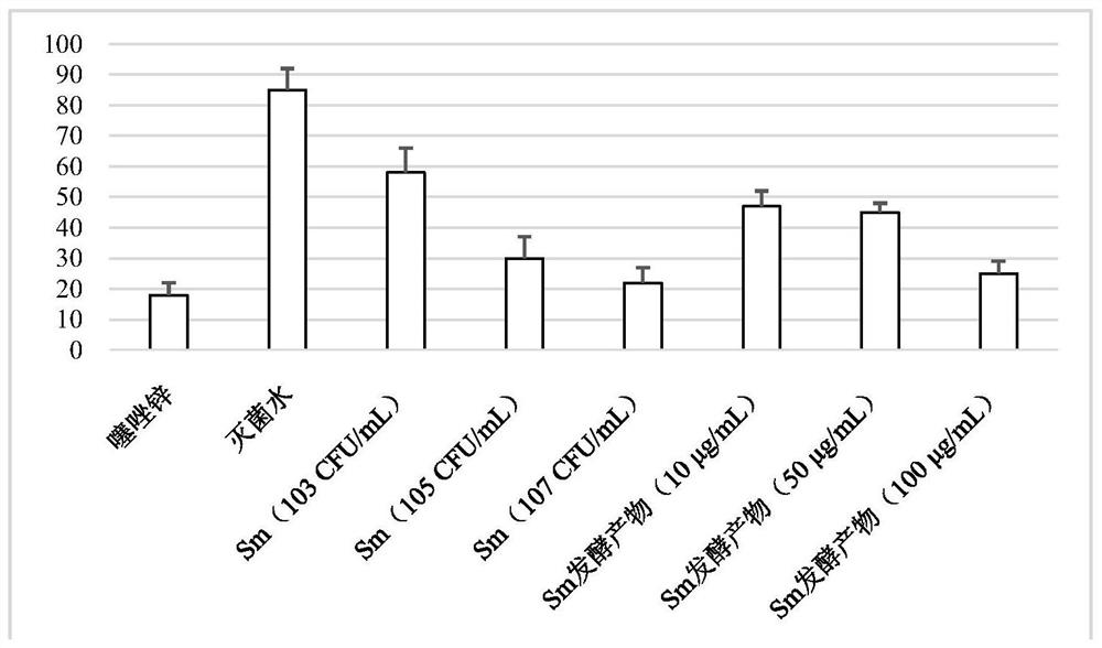 Cucurbit sphingomonas sp. and application of fermentation products of the cucurbit sphingomonas sp. in prevention and treatment of rice bacterial diseases.