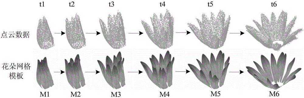 Flower opening process reconstruction method and device