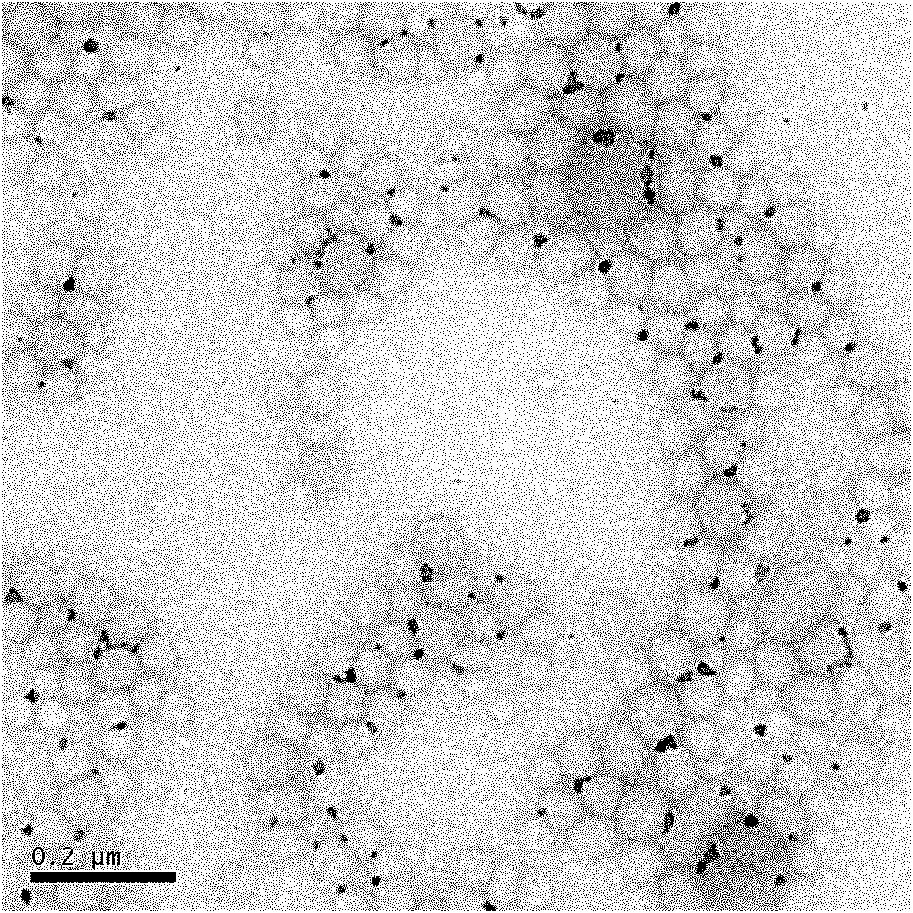 Method for preparing amphiphilic gradient copolymer