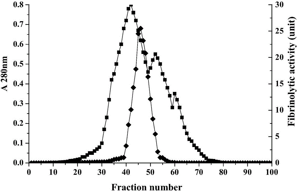 Pillworm fibrinolysis active protein and application thereof