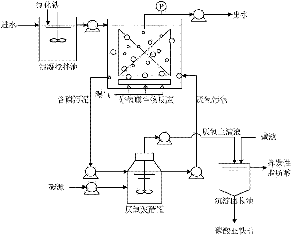 Sewage treatment system and treatment method in combination with membrane bioreactor and phosphorus recovery process