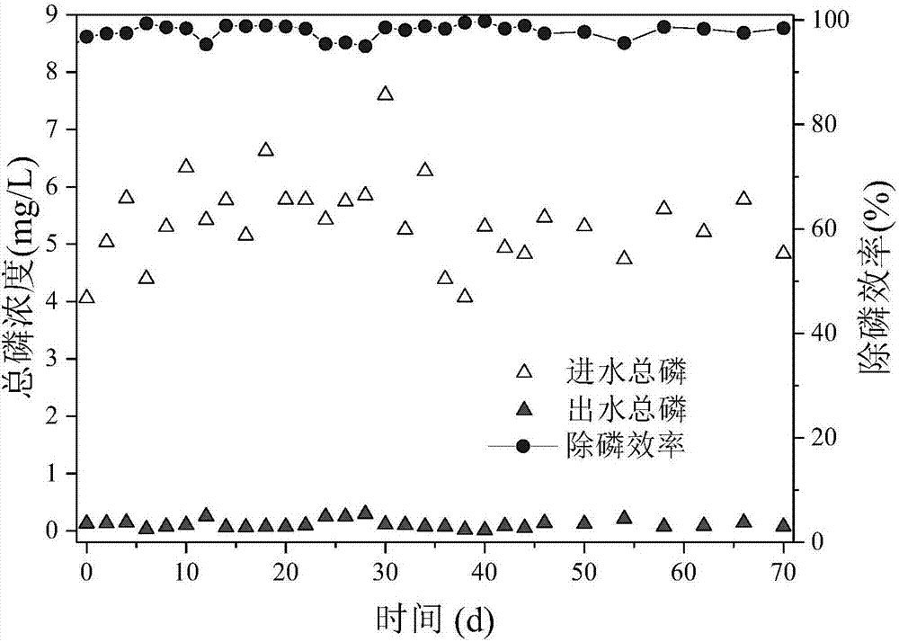 Sewage treatment system and treatment method in combination with membrane bioreactor and phosphorus recovery process