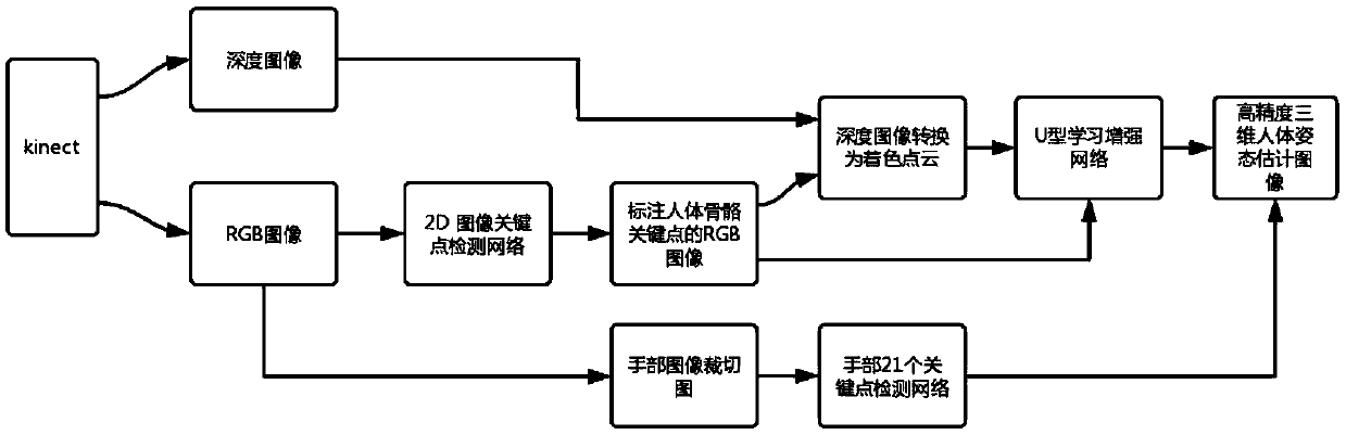 Three-dimensional human body posture estimation method and device