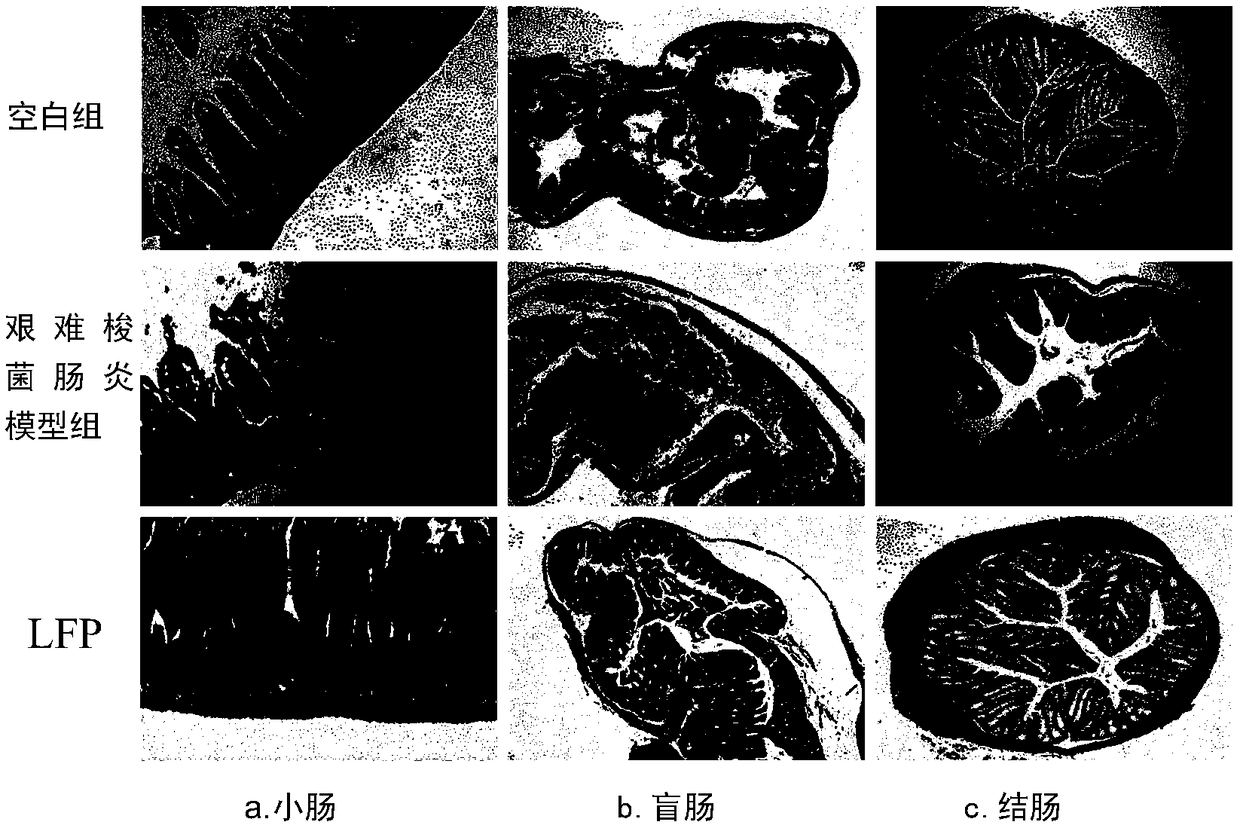 Application of fucosan sulfate with low molecular weight in prevention and treatment of enteritis