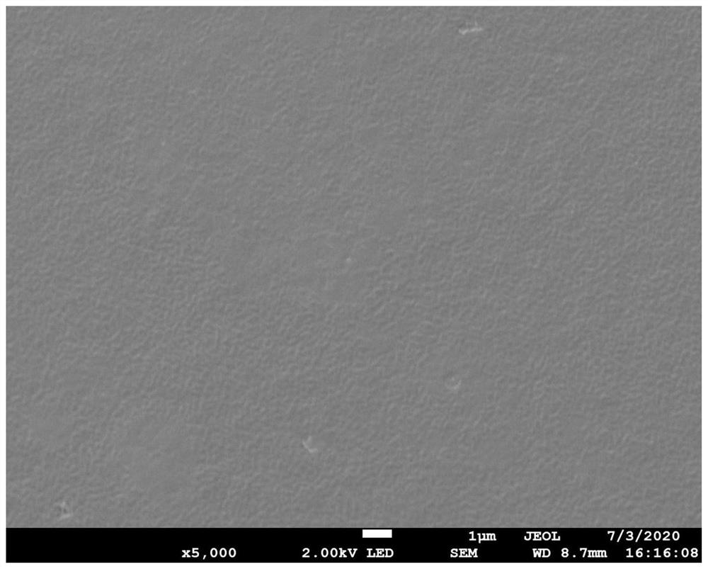 A kind of poly(4-methyl-1-pentene) hollow fiber membrane with gradient pore structure and its preparation method