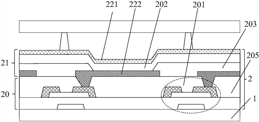 Flexible display panel and flexible display device