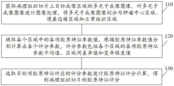 A colorectal cancer collagen evaluation and prognosis prediction device and storage medium