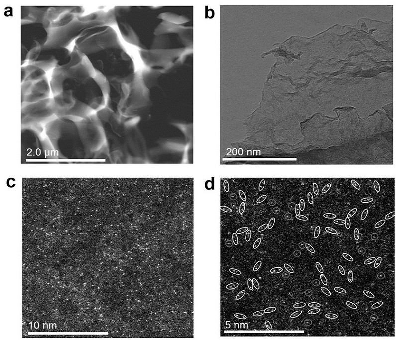 A kind of iridium iron single atom catalyst, preparation method and application