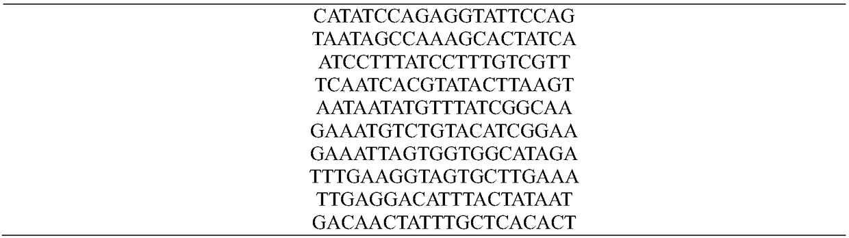 DNA sequence optimization method based on particle swarm chaotic intrusion weed algorithm