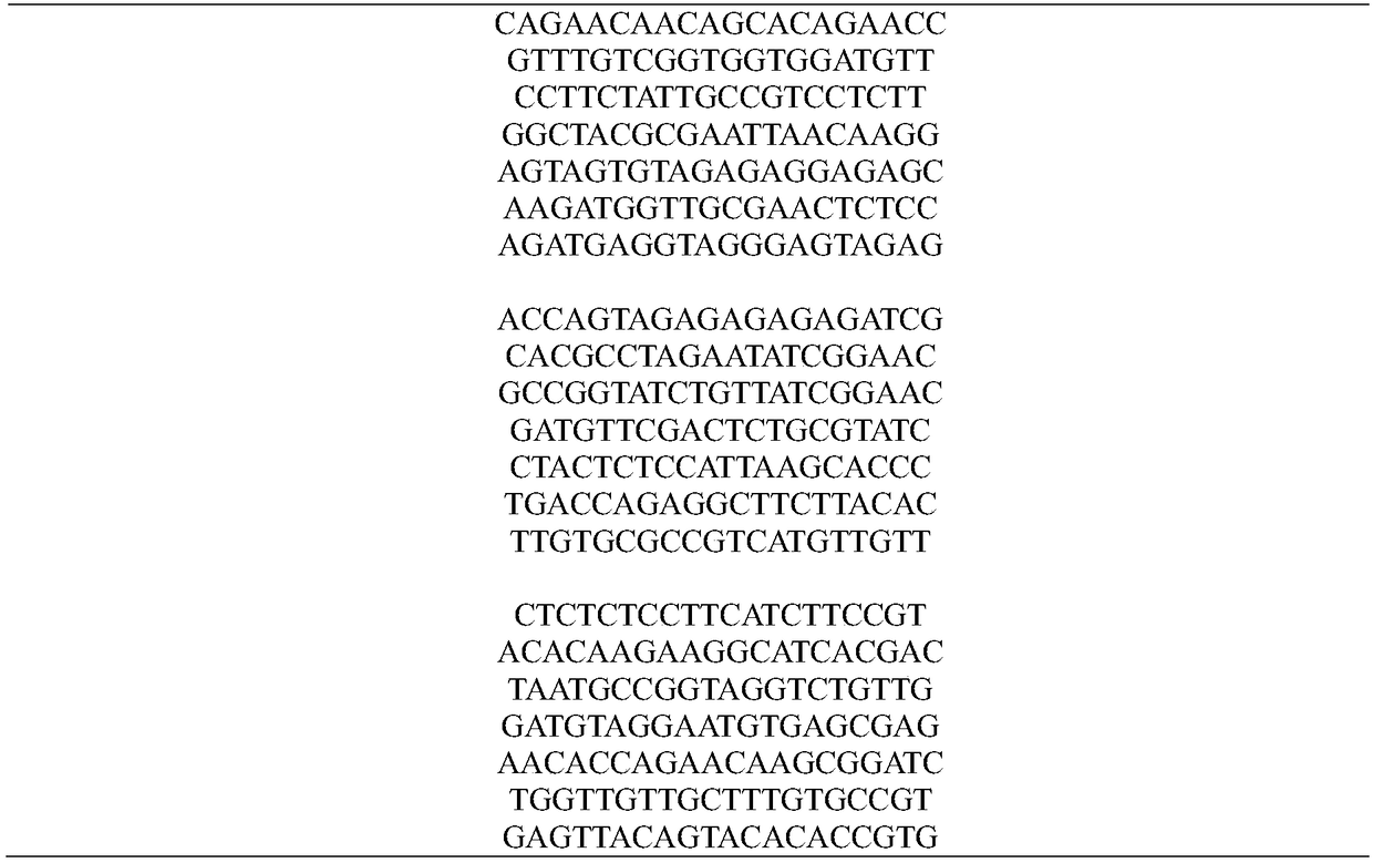 DNA sequence optimization method based on particle swarm chaotic intrusion weed algorithm