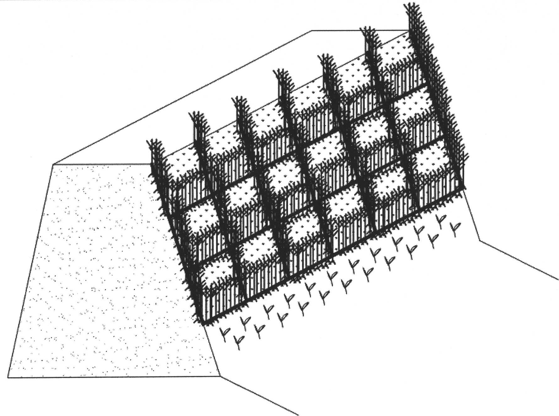 Method for protecting quasi ecological lake river bank inclined slope