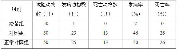 Rabbit staphylococcus aureus and application thereof in preparation of inactivated vaccine