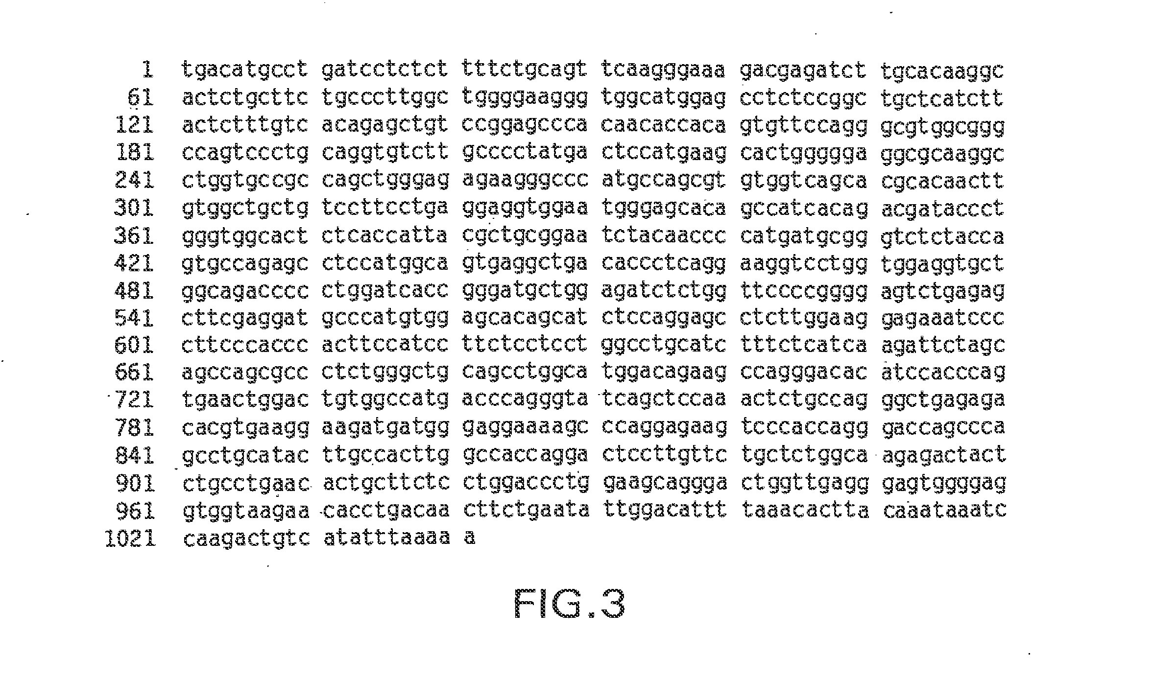 Novel receptor trem (triggering receptor expressed on myeloid cells) and uses thereof