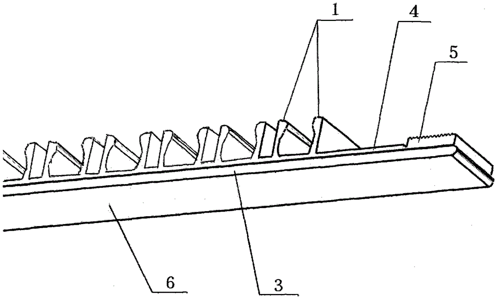 Blood bag pigtail specimen processing and preservation belt, device and method