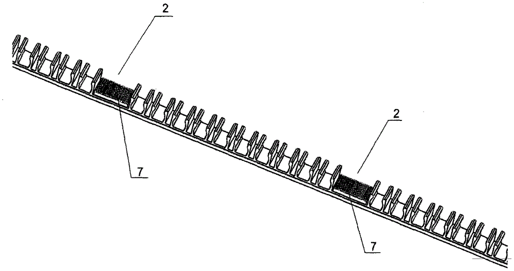 Blood bag pigtail specimen processing and preservation belt, device and method