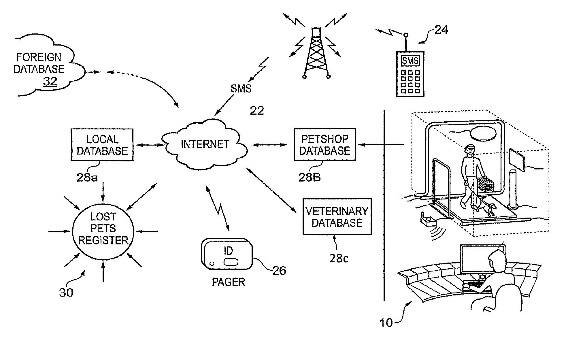 Animal identification system and related method