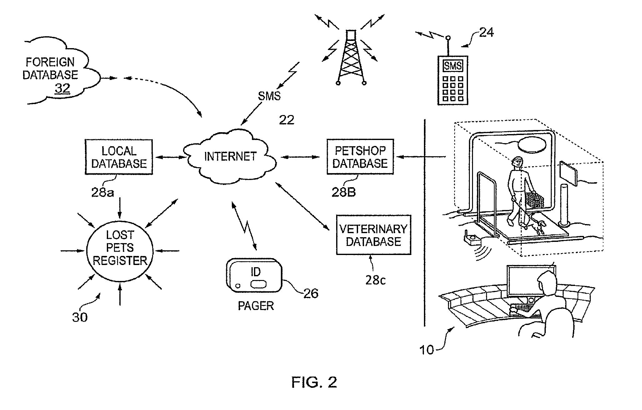 Animal identification system and related method