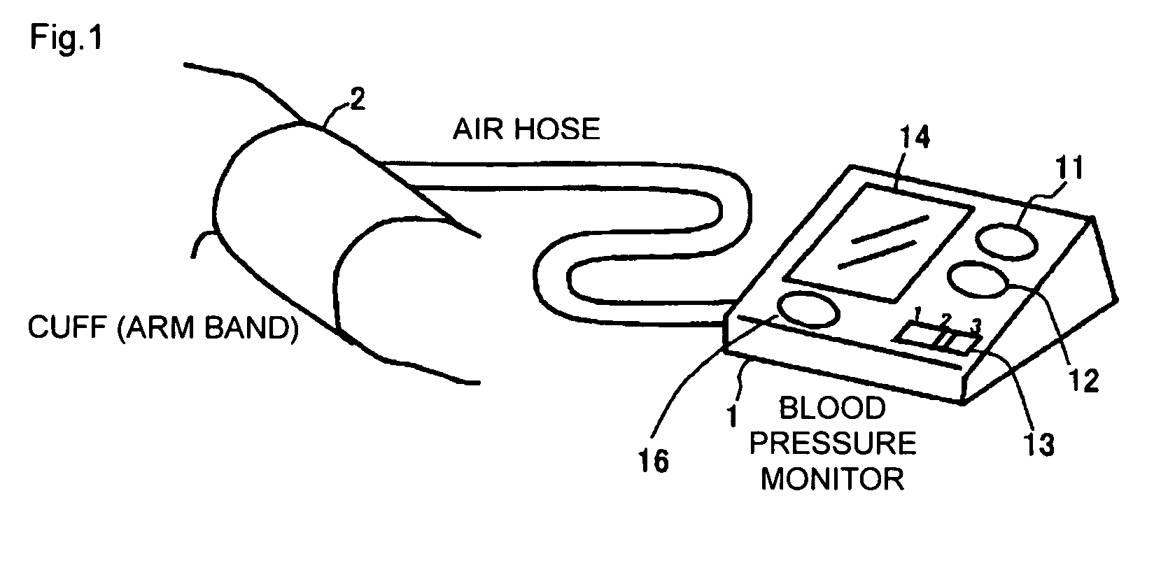 Blood pressure monitor and cardiovascular disease risk analyzing program