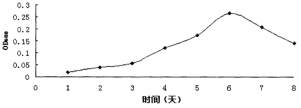 Method for increasing fucoxanthin content of Phaeodactylum tricornutum by using methyl jasmonic acid