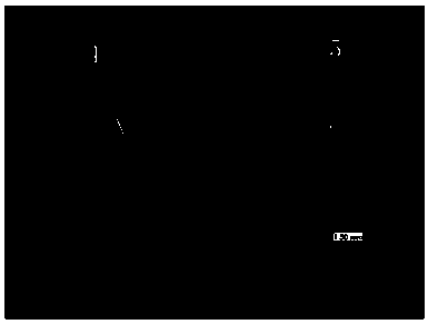 Active agent for 2219 aluminum alloy variable-polarity TIG welding and using method thereof