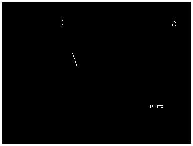 Active agent for 2219 aluminum alloy variable-polarity TIG welding and using method thereof