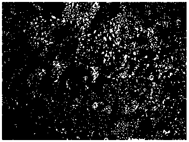 Active agent for 2219 aluminum alloy variable-polarity TIG welding and using method thereof