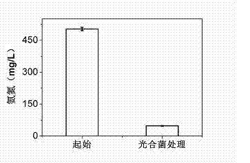 Device and a method for producing biodiesel in a coupling way by treating livestock and poultry breeding wastewater