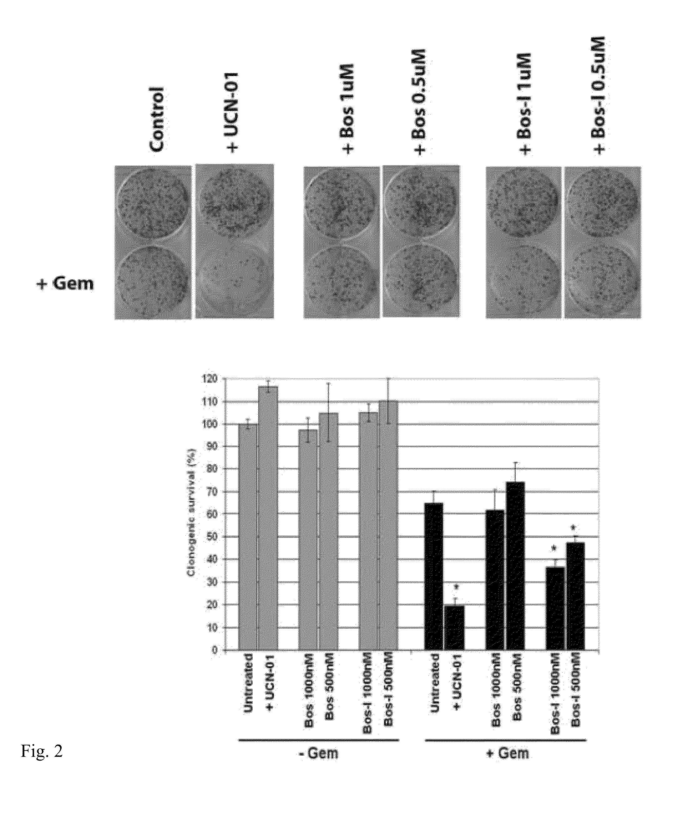 Sensitization of cancer cells to DNA damage by inhibiting kinases essential for DNA damage checkpoint control