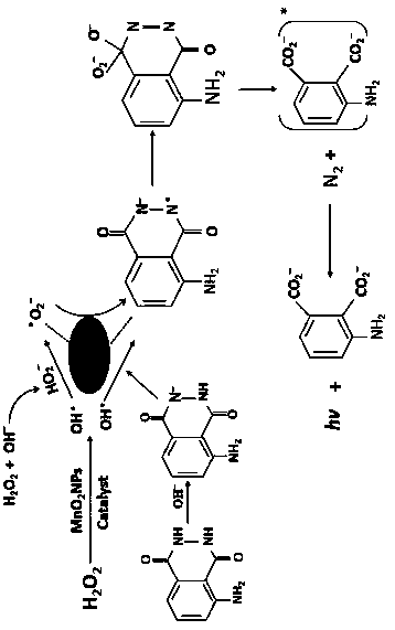 Detection method for glucose