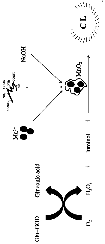 Detection method for glucose