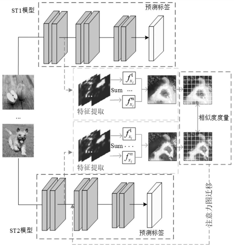 Interpretable local migration mutual learning method based on attention map