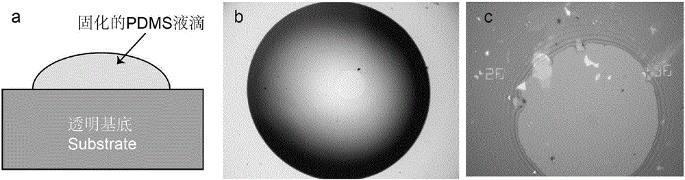 Method for putting pure ultrathin two-dimensional materials on stacking top layer