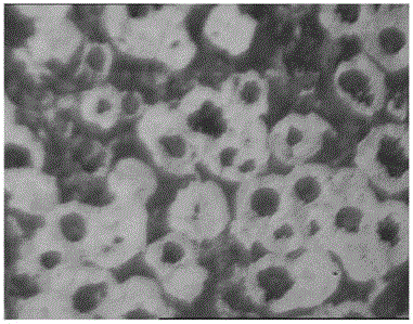 A heat-resistant sphere and its production process