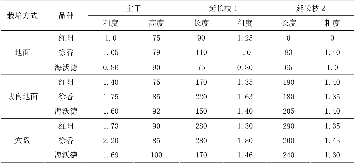 Method for cultivating kiwi fruits in unsuitable distribution areas