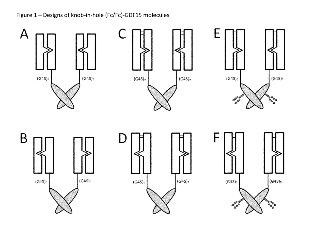 Compositions and methods of use for treating metabolic disorders