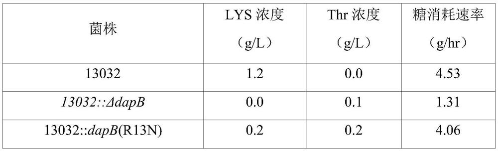 Variant dihydropicolinic acid reductase polypeptides and method for producing L-threonine using same