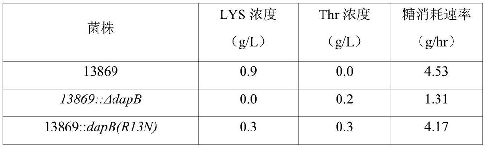 Variant dihydropicolinic acid reductase polypeptides and method for producing L-threonine using same