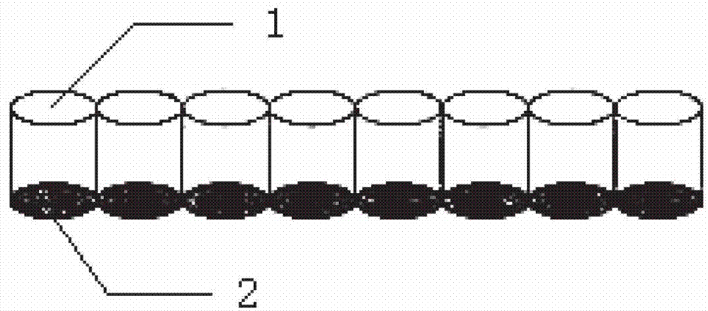 Test strip and method for detecting spectinomycin