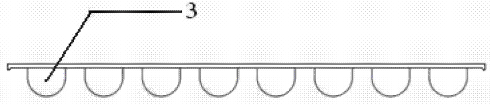 Test strip and method for detecting spectinomycin