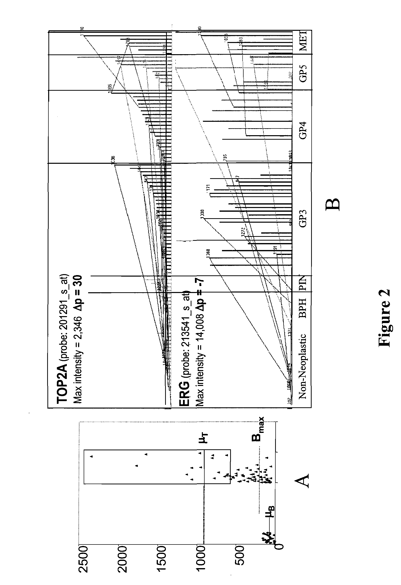 Predicting cancer outcome