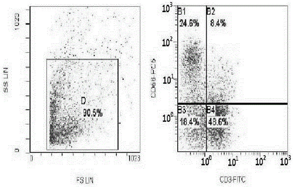 Serum-free medium of immune cells